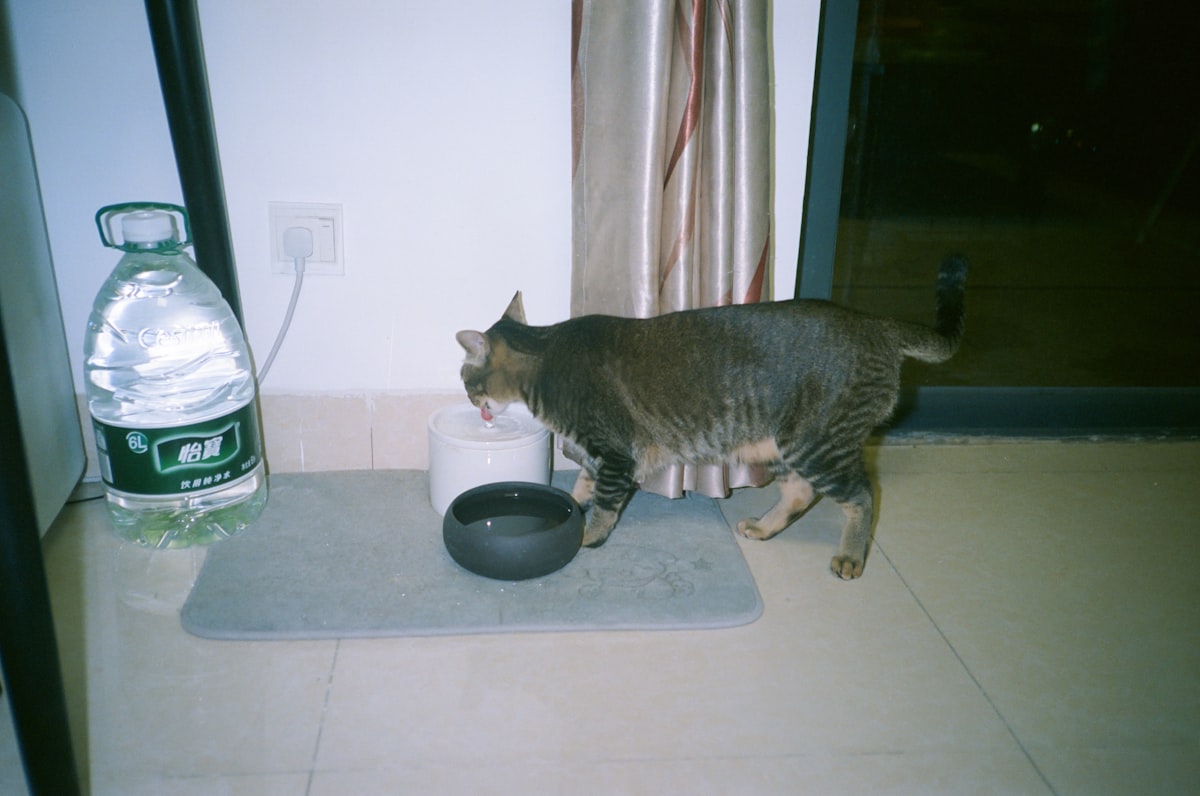 Pet Supplies