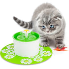 The Flow electric pet water fountain — full product view