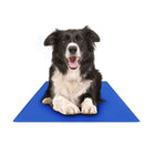 The Cool Down cooling mat — size comparison and dimensions
