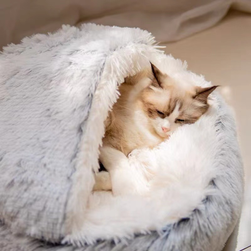 Cat peeking out from a fluffy white blanket