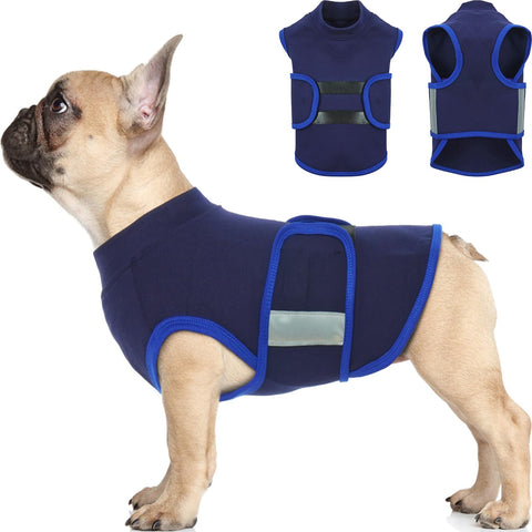 The Calm Wrap — Anxiety-Soothing Dog Vest