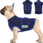 The Calm Wrap — Calming Anxiety Vest for Dogs