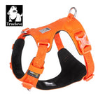 The Defender dog harness — reflective trim detail
