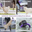 The Puller Ring in action — dog running, pulling, jumping and swimming with fetch rings