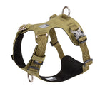 The Defender harness — size adjustment straps and reflective trim