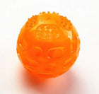 The Chomper fetch ball — durable rubber construction