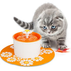 The Flow — Electric Pet Water Fountain