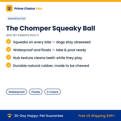 The Chomper — Waterproof Squeaky Fetch Ball