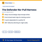 The Defender — key benefits and specs