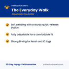 The Everyday Walk — key benefits and specs