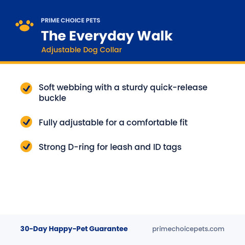 The Everyday Walk — Adjustable Dog Collar
