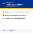 The Feather Wand — key benefits and specs