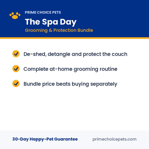 The Spa Day — De-Shed, Detangle, Defend the Couch