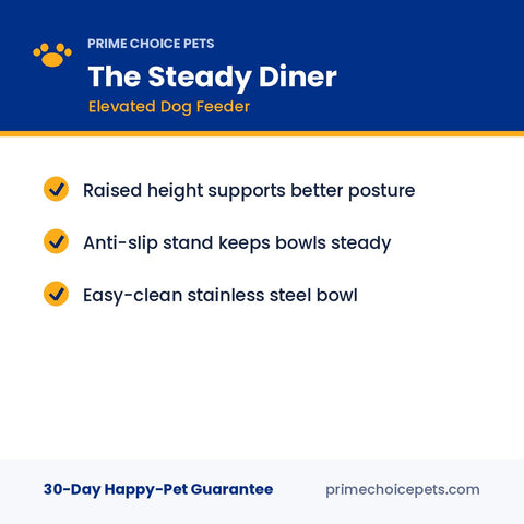 The Steady Diner — Elevated Dog Feeder