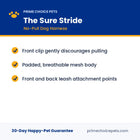 The Sure Stride — key benefits and specs