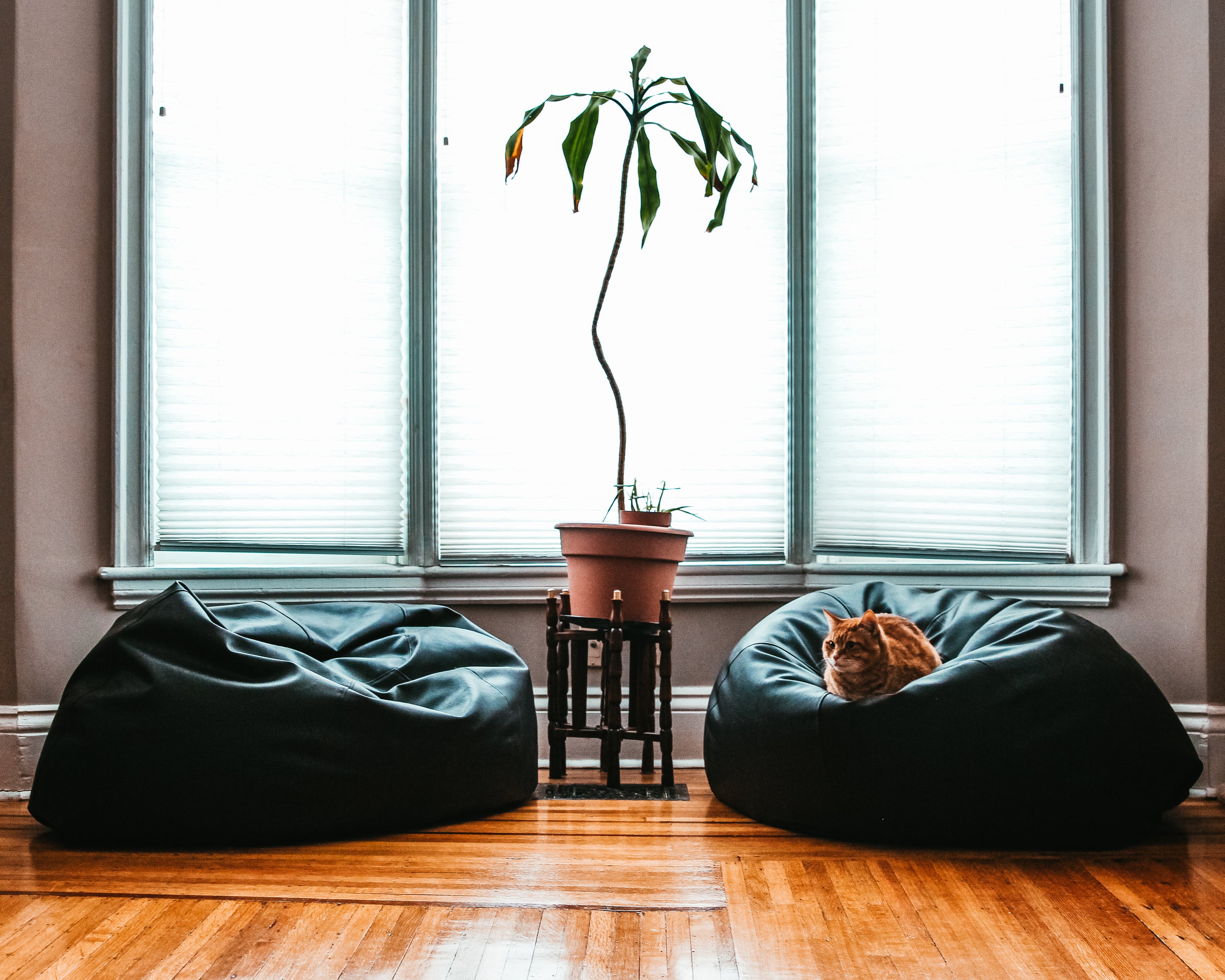The Calm Bedroom - Donut Nap Bed, Plush Hideaway & Cloud Cuddler — lifestyle photo