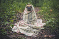 calming-dog-wrap