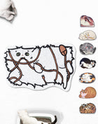 The Clean Step XL cat litter mat — honeycomb texture detail