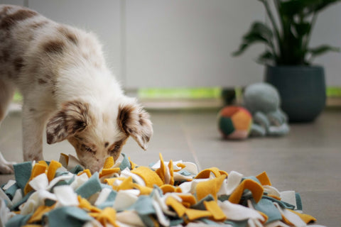 The Lick Pad — Anxiety Relief Slow Feeder Mat