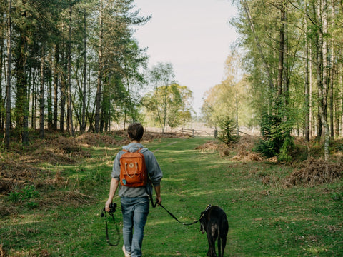 The Sure Stride — No-Pull Dog Harness
