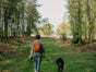 The Sure Stride — No-Pull Dog Harness