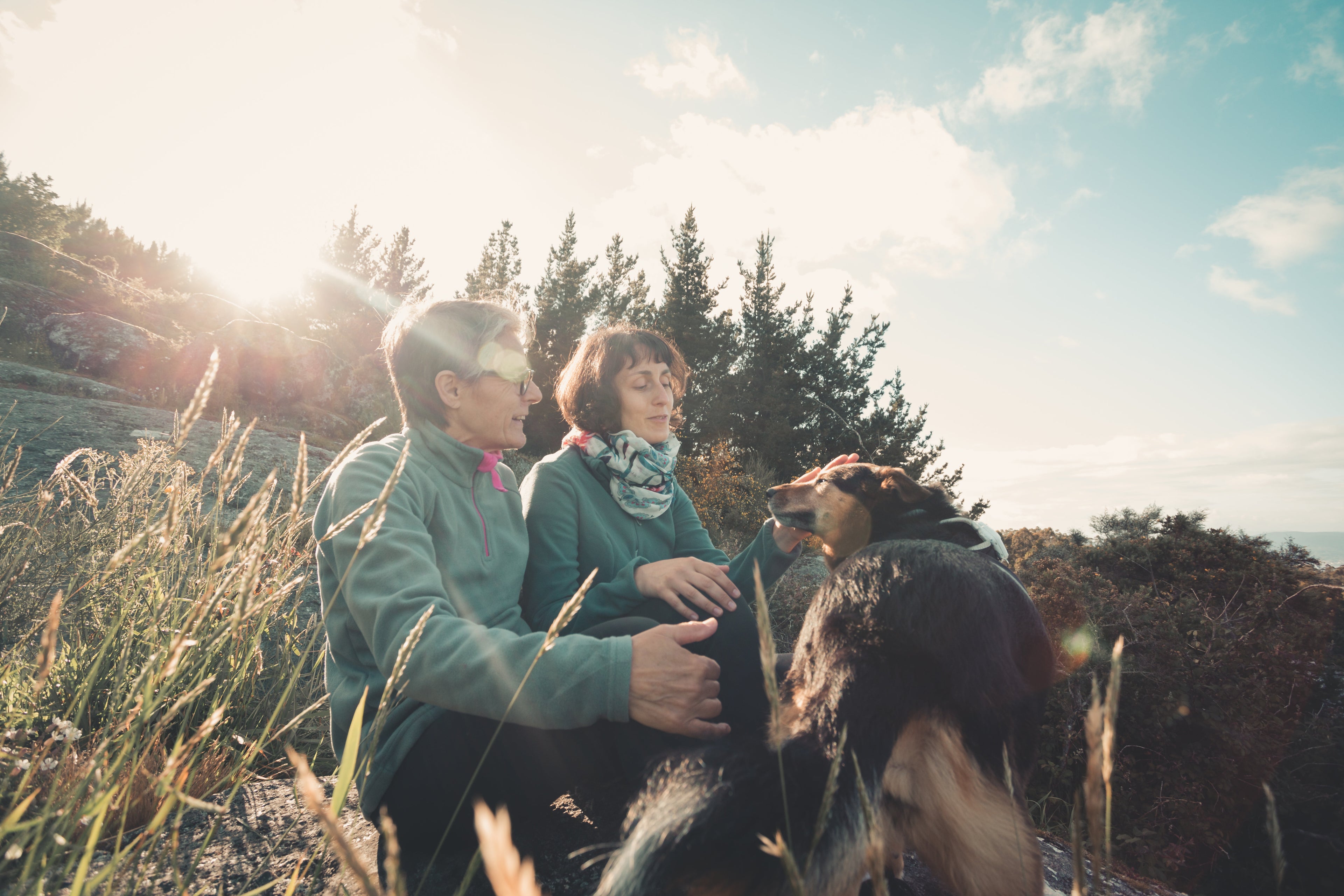 The Walk Kit - Walk Collar, Puller Ring & 2-in-1 Water Bottle — lifestyle photo